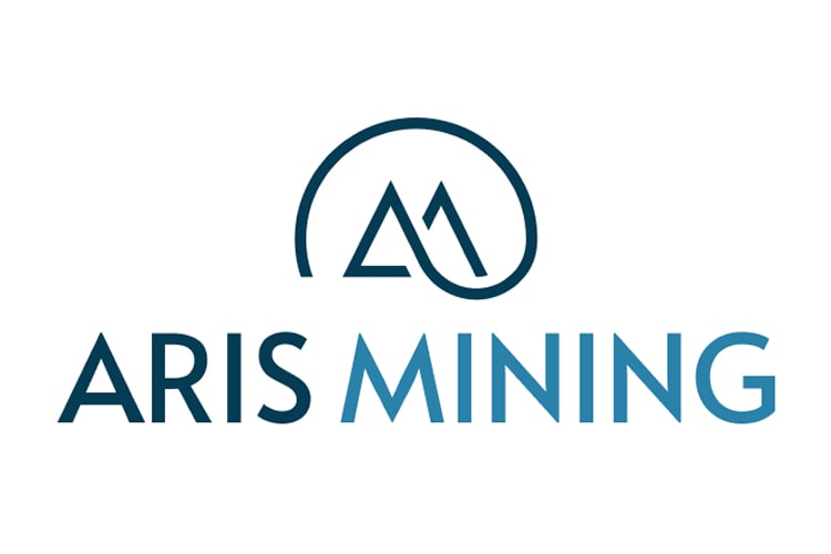 Formación Minera Aris
