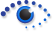 Birdseye Report